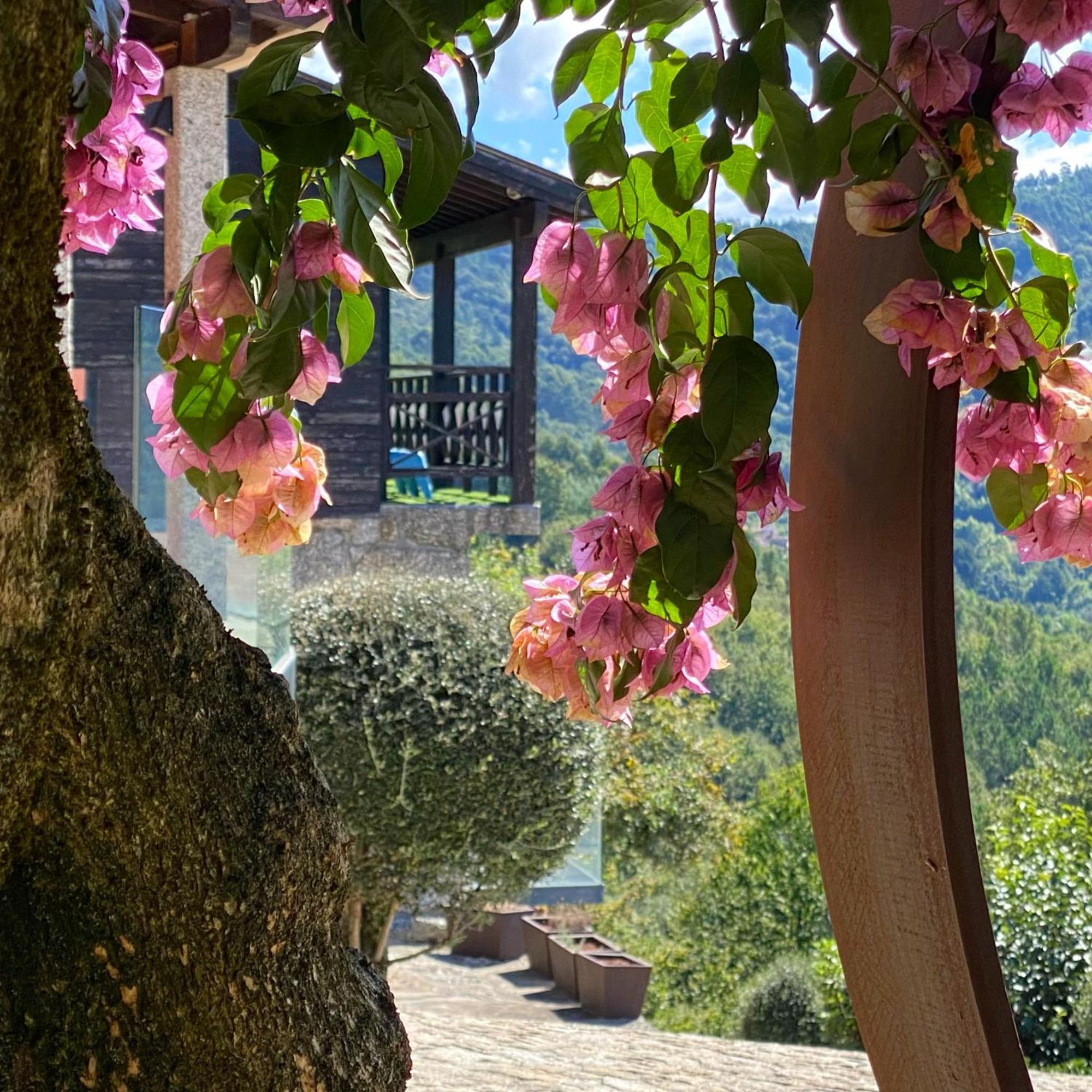 Quinta Cercas Da Costa Villa Vieira do Minho Exterior foto